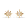 14K Gold Diamond Star Burst Stud Earring ME2949
